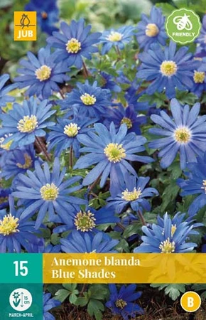 Bloembollen Anemone Blanda Blue Shades 15st