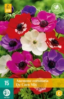 Bloembollen Anemone Coronaria De Caen Mix 15st