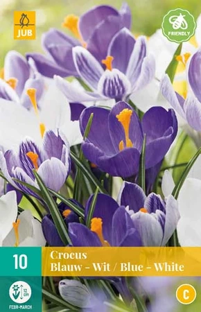 Bloembollen Crocus Blauw- Wit 10st