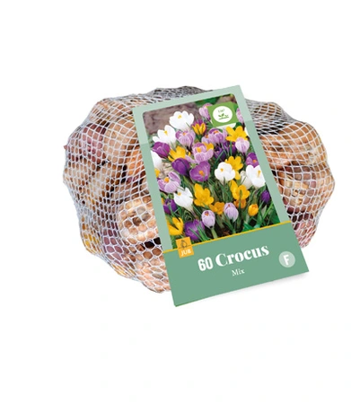 Bloembollen Crocus Mix 60st