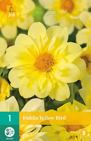 Dahlia Yellow Bird bloembollen