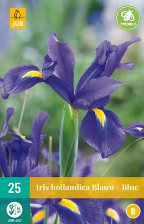 Bloembollen Iris Hollandica Blauw 25st