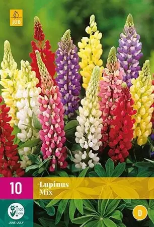 Lupinus Bloembollen Tuincollectie.nl