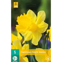 Bloembollen Narcissus Dutch Master 5st