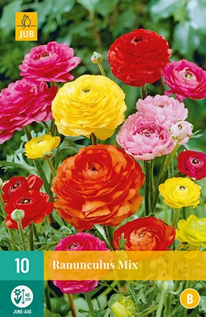 Bloembollen Ranunculus Mix 10st