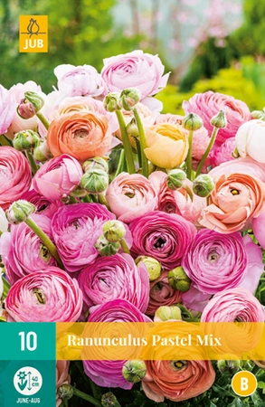 Bloembollen Ranunculus Pastel Mix 10st