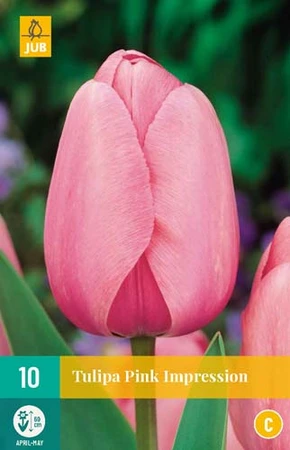 Bloembollen Tulipa Pink Impression 10st