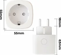 Calex Smart Power Plug met spraakbediening