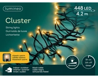 Clusterverlichting 448 LED 4,2m CW