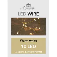 Draadverlichting Goud 10 LED 1m WW