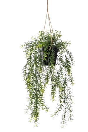 Kunst Hangplant Asparagus 40cm