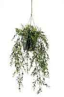 Kunst Hangplant Buxus 40cm