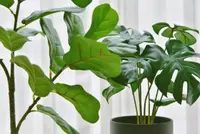 Kunstplanten