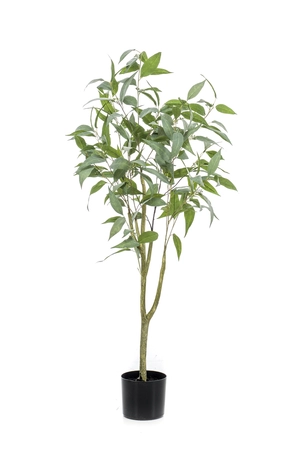 Kunstboom Eucalyptus Globulus 115cm