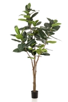 Kunstboom Ficus Elastica 210cm