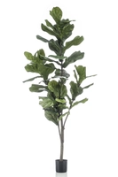 Kunstboom Ficus Lyrata 150cm