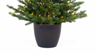 Kunstkerstboom Grenoble in pot PE Groen LED 100cm