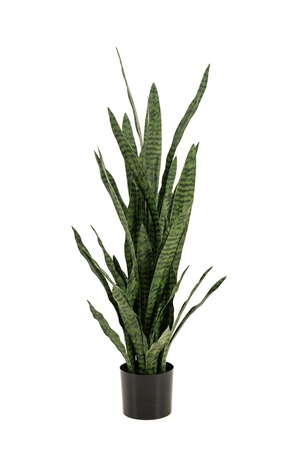 Kunstplant Sanseveria Zeylanica 115cm