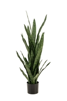 Kunstplant Sanseveria Zeylanica 115cm