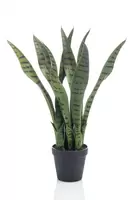 Kunstplant Sanseveria Zeylanica 50cm