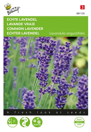 Buzzy® Echte Lavendel