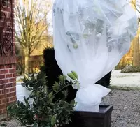 Planten beschermhoezen