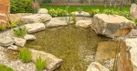 Waterornamenten