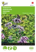 Buzzy® Marjolein - Oregano